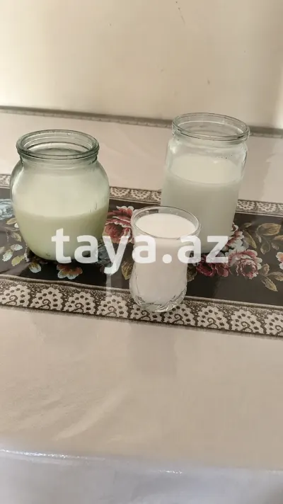 Süd — Emal Olunmuş K/t Məhsulları, Bakı