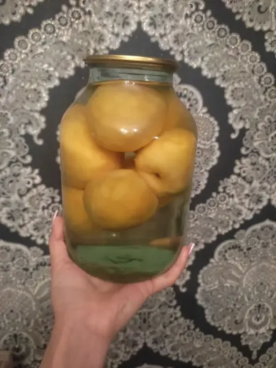 Kompot — Emal Olunmuş K/t Məhsulları, Bakı — şəkil 2