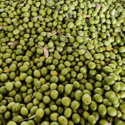 Olives — Fruits and Berries, Baku