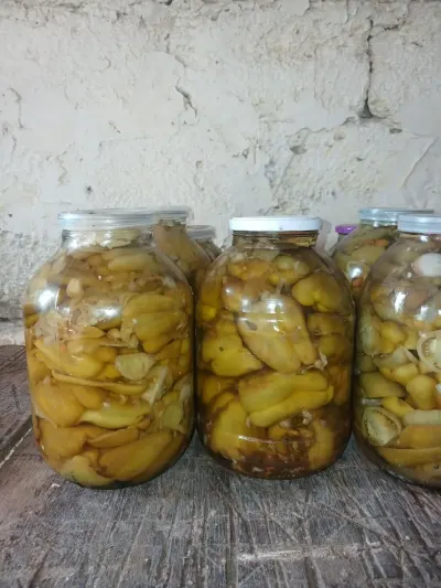 Turşu — Emal Olunmuş K/t Məhsulları, Bakı