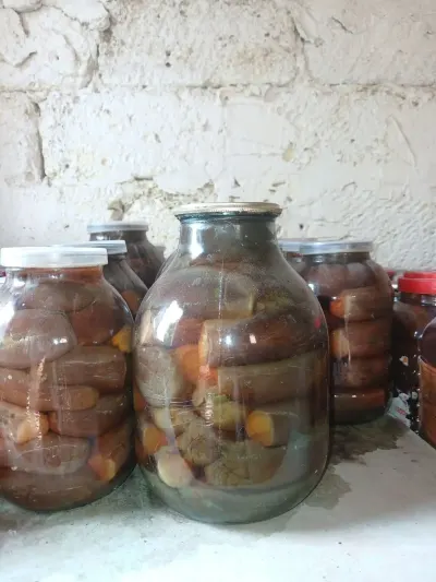 Turşu — Emal Olunmuş K/t Məhsulları, Bakı — şəkil 2