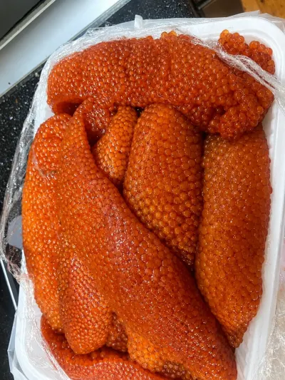 Balıq kürüsü — Heyvanlar, Quşlar, Balıqlar, Bakı