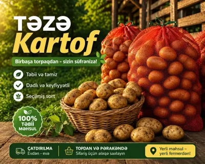 Potato — Vegetables and Greens, Zagatala