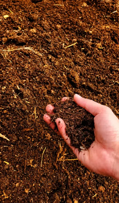 Gübrə — Emal Olunmuş K/t Məhsulları, Bakı