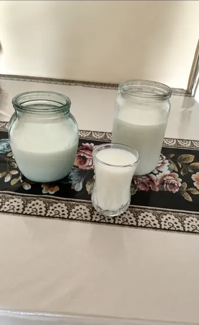 Süd — Emal Olunmuş K/t Məhsulları, Bakı