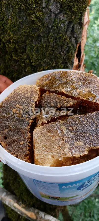 BAL — Emal Olunmuş K/t Məhsulları, Astara