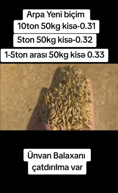 ARPA — Dənlilər, Otlar Yemlər,  Bitkilər, Bakı