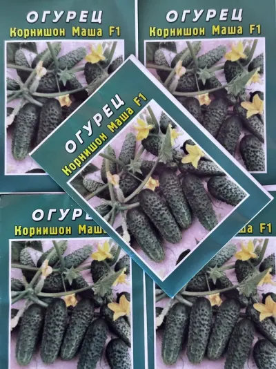 Toxum — Dənlilər, Otlar Yemlər,  Bitkilər, Bakı