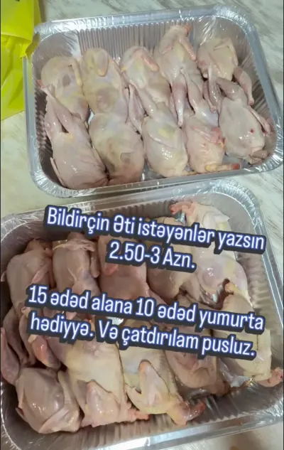 Bildirçin — Heyvanlar, Quşlar, Balıqlar, Bakı