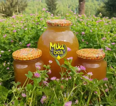BAL — Emal Olunmuş K/t Məhsulları, Astara