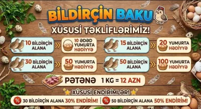 Bildirçin — Heyvanlar, Quşlar, Balıqlar, Bakı