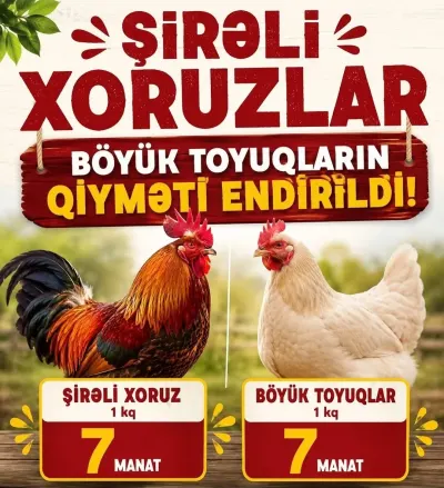 Xoruz — Heyvanlar, Quşlar, Balıqlar, Göyçay