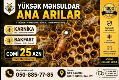 Ana arı — Heyvanlar, Quşlar, Balıqlar, Qax