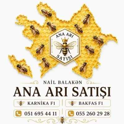 Ana arı — Heyvanlar, Quşlar, Balıqlar, Balakən