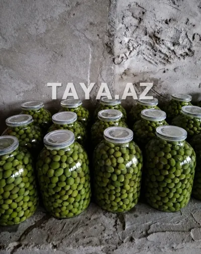 Zeytun turşusu — Emal Olunmuş K/t Məhsulları, Bakı