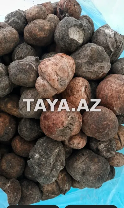 Dombalan — Tərəvəzlər və Göyərtilər, Bakı