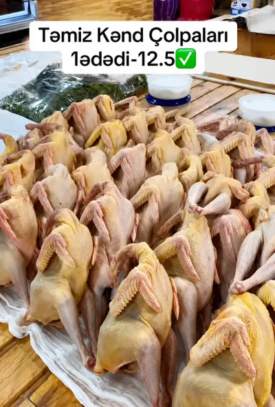 Çolpa — Heyvanlar, Quşlar, Balıqlar, Gəncə